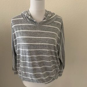 41 Hawthorn Knit Sweatshirt